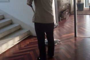 臺州日常保潔服務(wù)