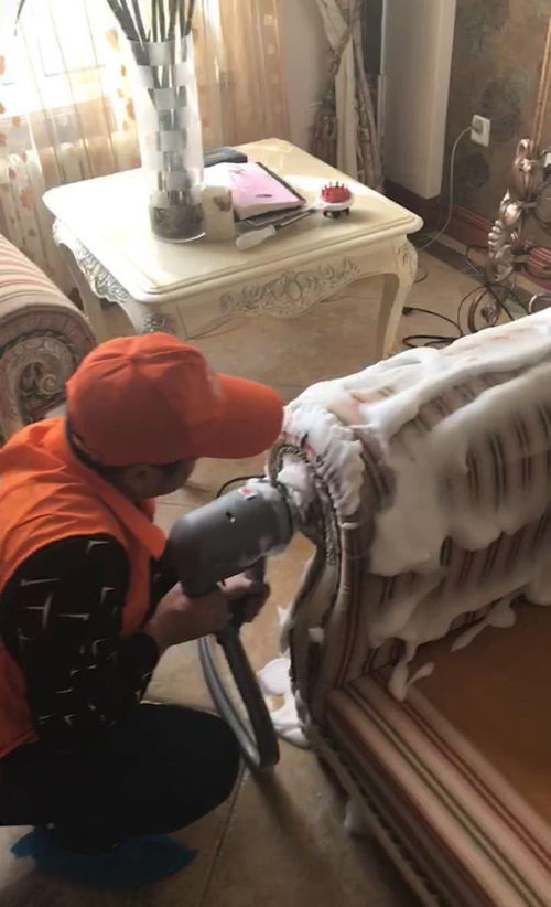 圖 西安新城專業(yè)保潔公司電話 專業(yè)清洗團隊公司 服務(wù)踏實,真情奉獻 西安保潔清洗